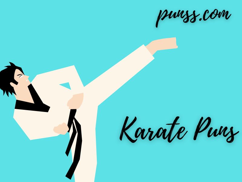 60+ Karate Puns Jokes & OneLiners