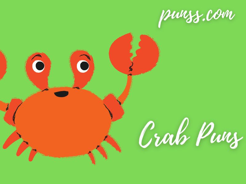 100+ Crab Puns Jokes And OneLiners
