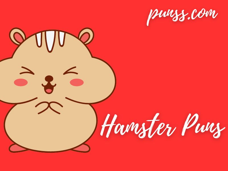 50+ Hamster Puns Jokes And OneLiners