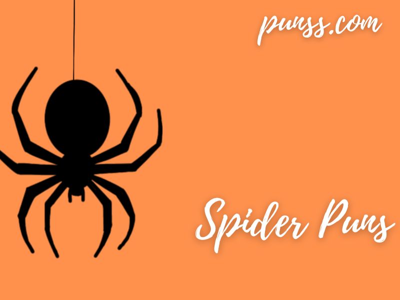 100+ Spider Puns Jokes And OneLiner