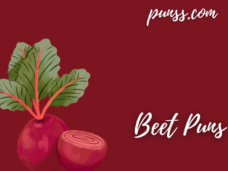 Beet Puns Jokes And One Liner