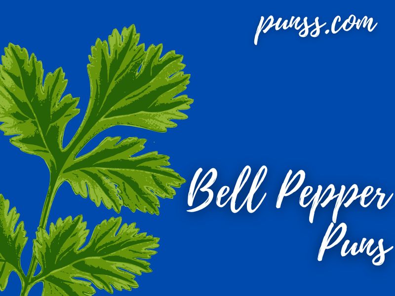 70+ Bell Pepper Puns Jokes And OneLiners