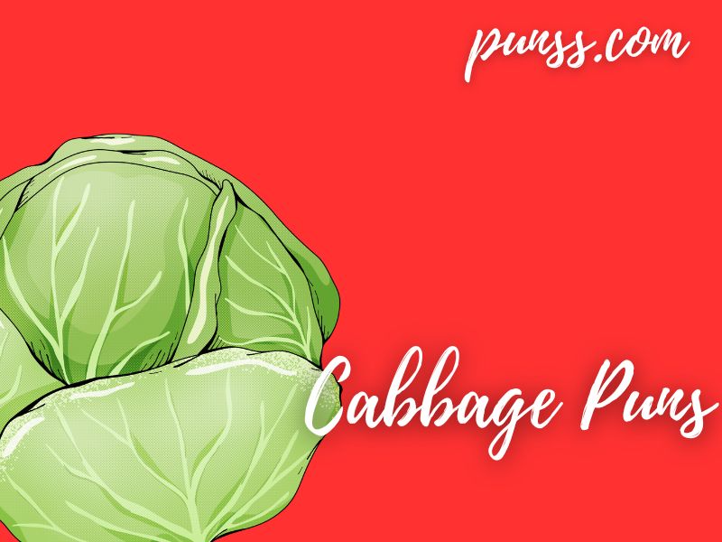 75+ Cabbage Puns Jokes And OneLiners