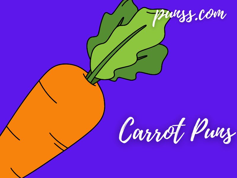 70+ Carrot Puns Jokes And OneLiners