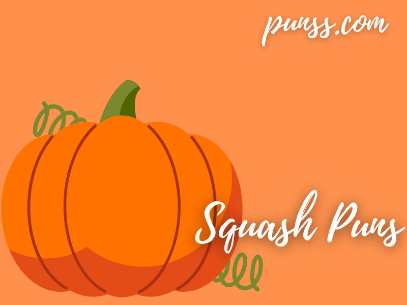 70+ Squash Puns Jokes And OneLiner