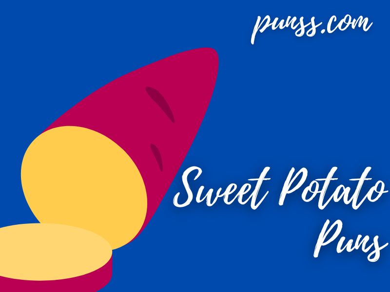 70+ Sweet Potato Puns Jokes And OneLiners