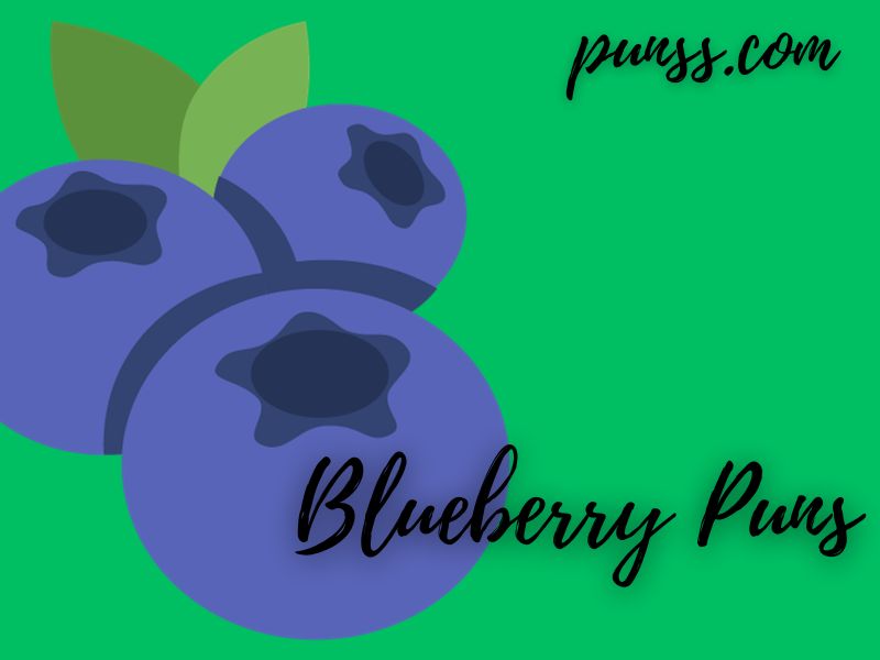 100 Blueberry Puns Jokes And One Liners