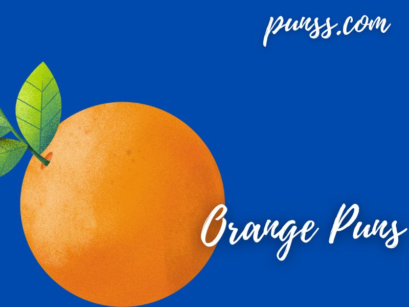 60+ Orange Puns Jokes And OneLiners