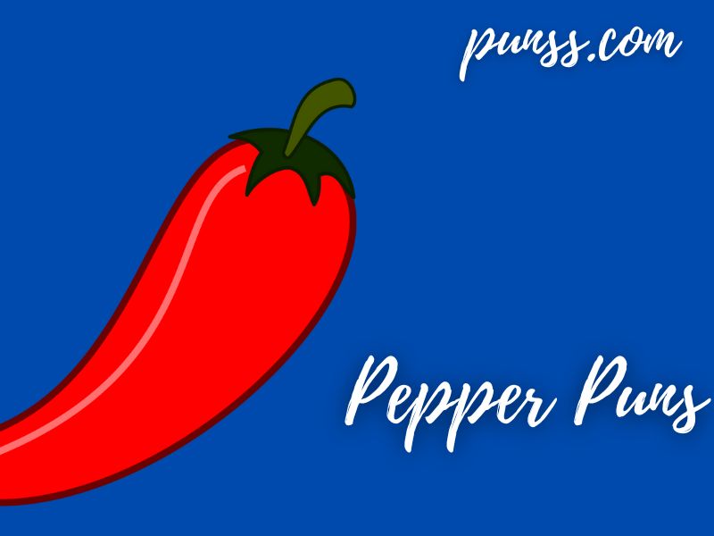 70+ Pepper Puns Jokes And OneLiners