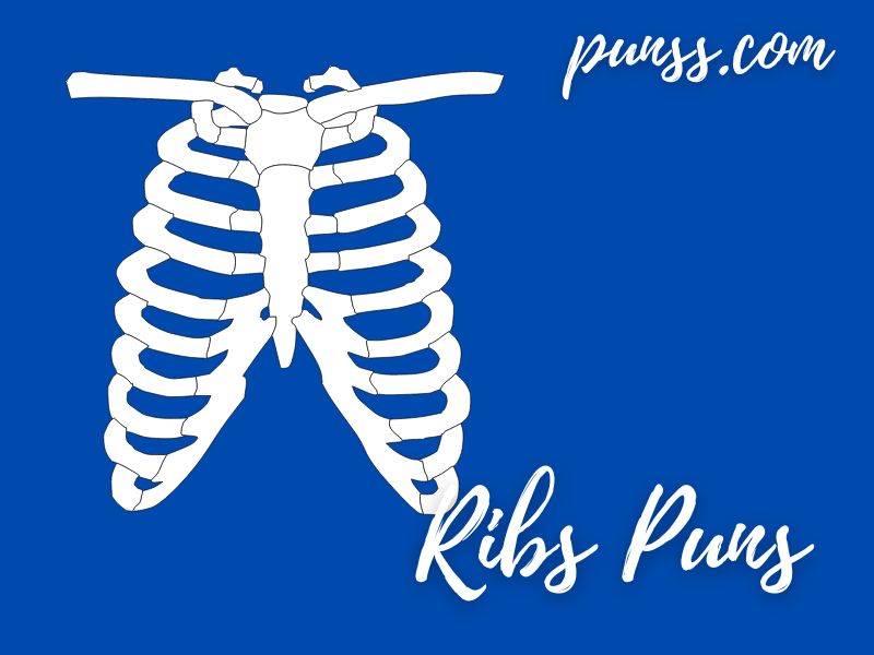 100 Funny Ribs Puns Jokes And OneLiners