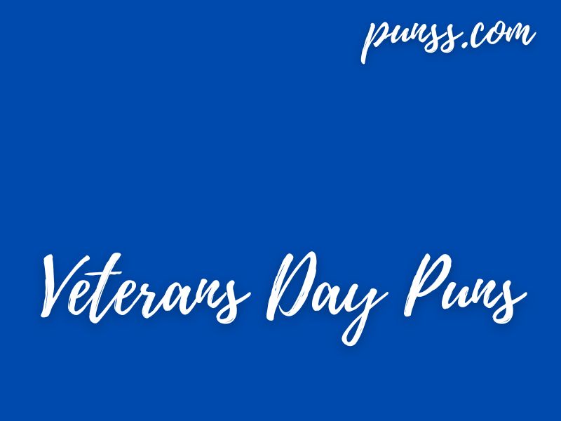 Famous poems about veterans day