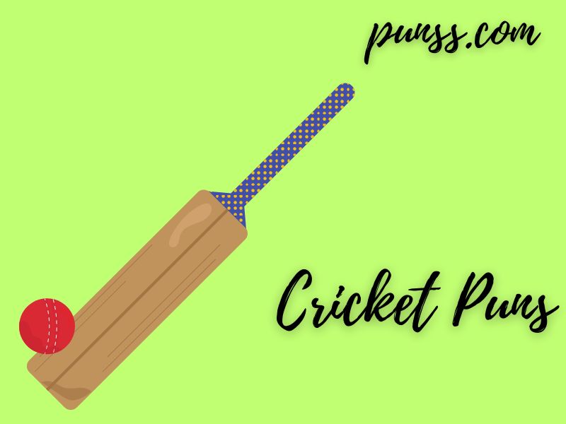 Cricket Puns