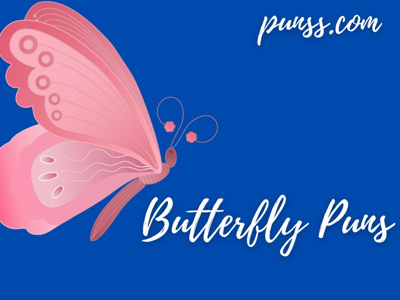 100+ Butterfly Puns Jokes And OneLiners