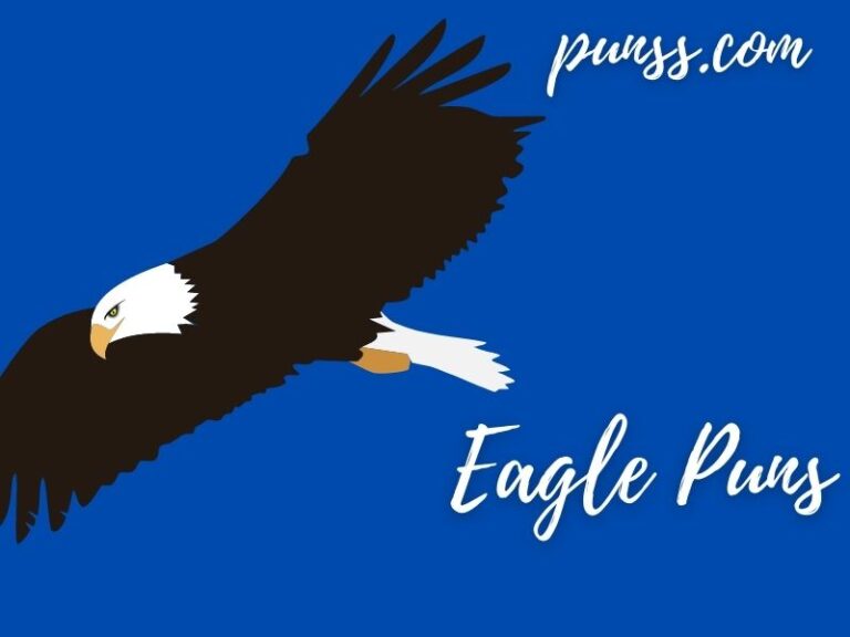 Funny Eagle Puns Jokes And One Liner