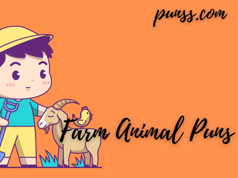 50+ Farm Animal Puns: Jokes And One-liners