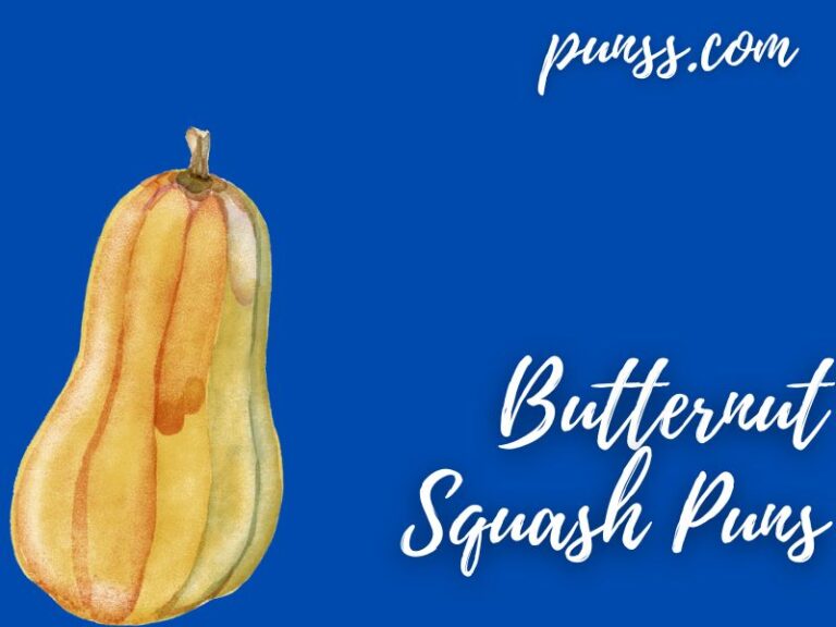 70+ Butternut Squash Puns Jokes And OneLiners