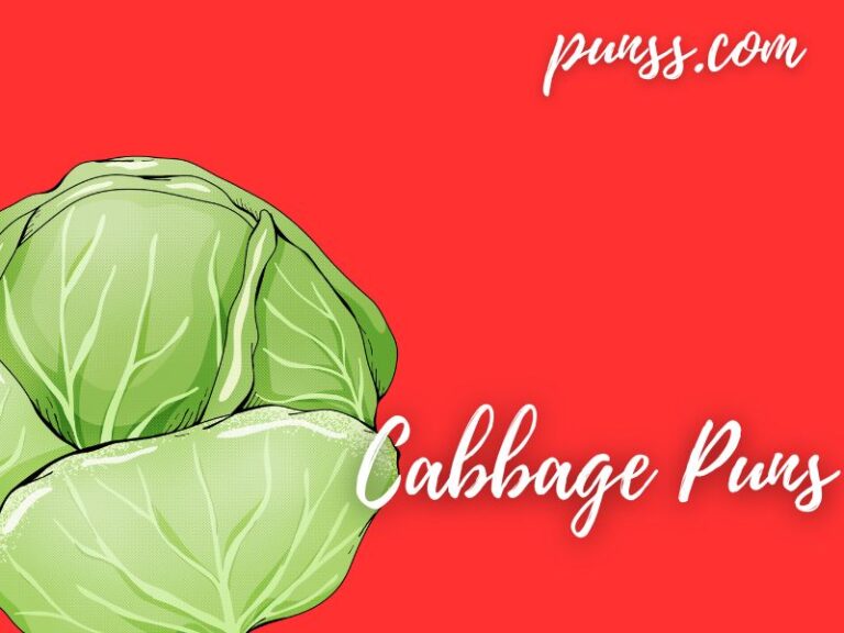 75+ Cabbage Puns Jokes And OneLiners