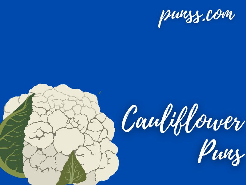75+ Cauliflower Puns Jokes And OneLiners