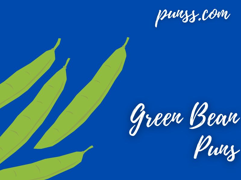 70+ Green Bean Puns Jokes And OneLiners