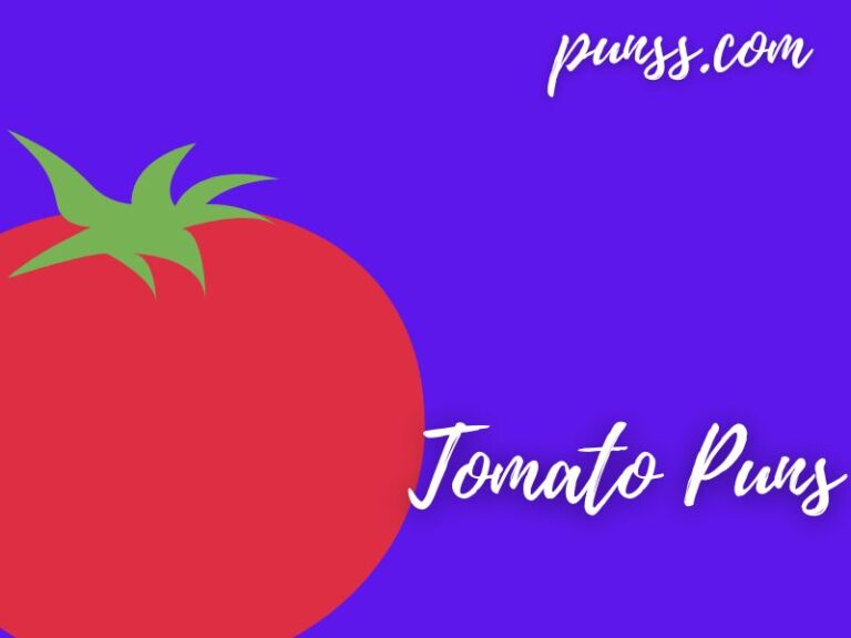 70+ Tomato Puns Jokes And OneLiner
