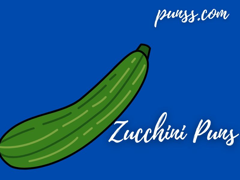 Zucchini Puns