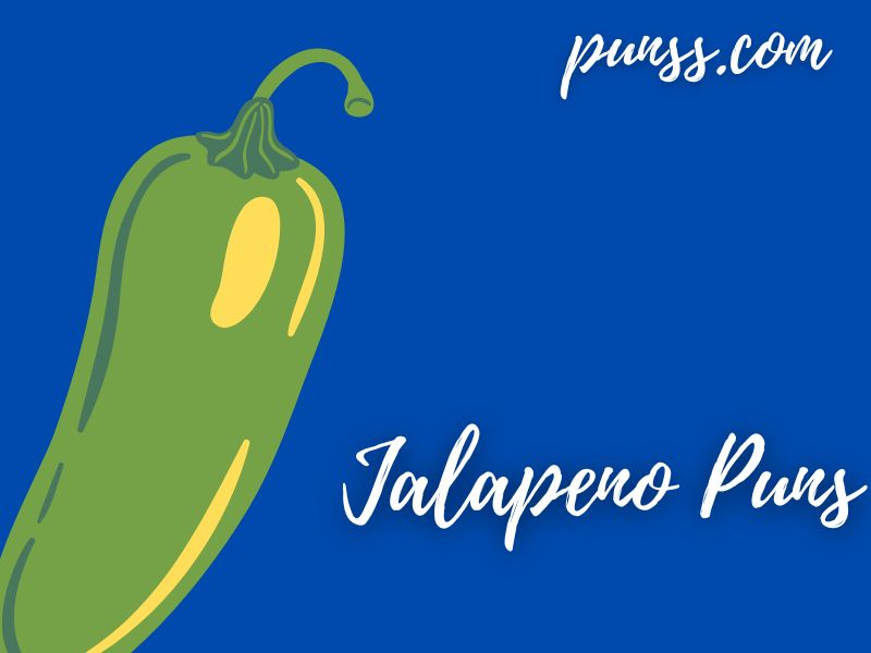 70+ Jalapeno Puns Jokes And OneLiners