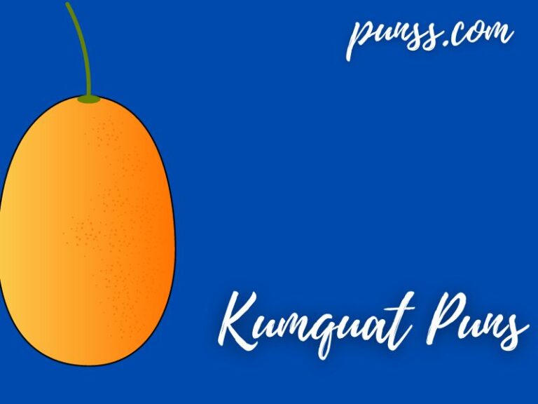 100+ Kumquat Puns Joke And OneLiners