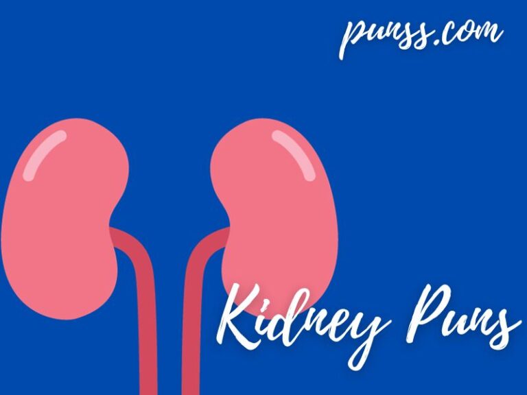 80+ Kidney Puns: Jokes And One-Liners