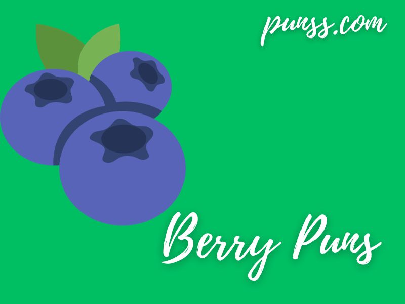 Berry Puns