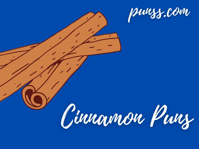 Cinnamon  Puns