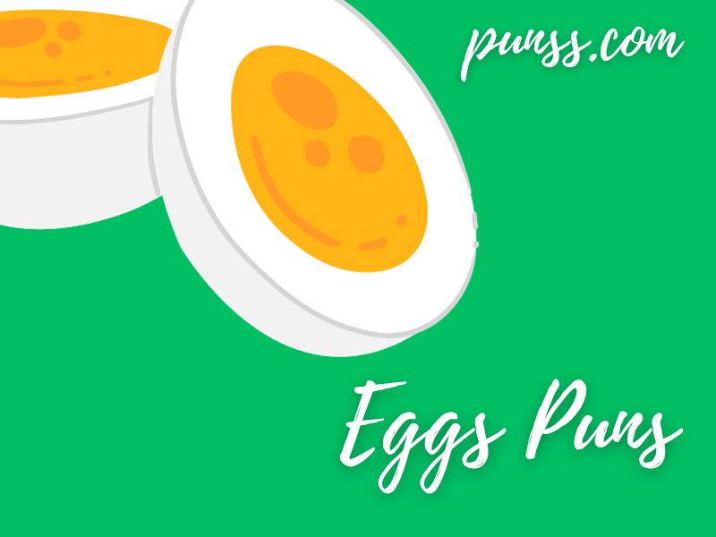 Eggs Puns