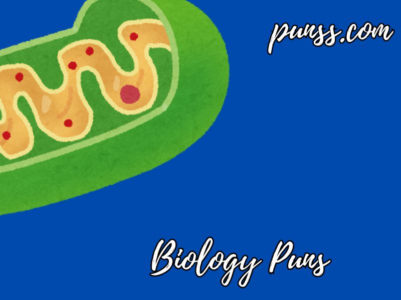 Funny Biology Puns