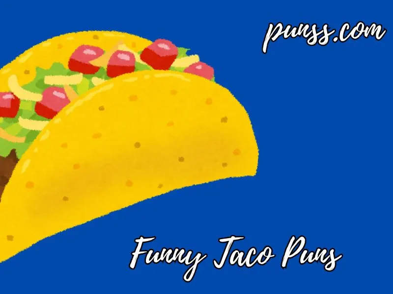 Funny Taco Puns